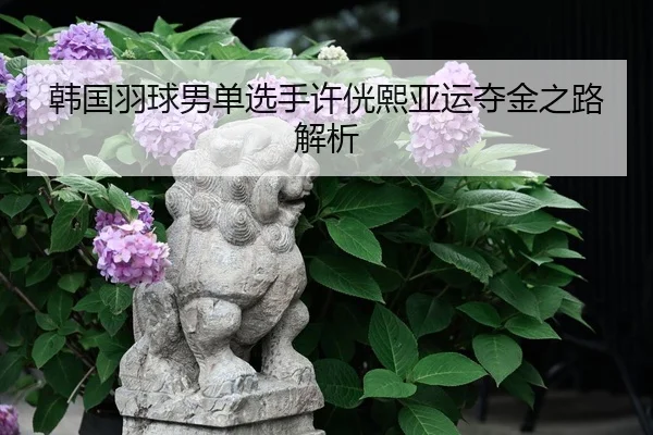 韩国羽球男单选手许侊熙亚运夺金之路解析